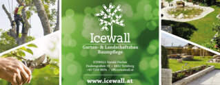 Collage von ICEWALL Harald Fischer